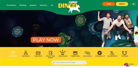 Dingo casino review
